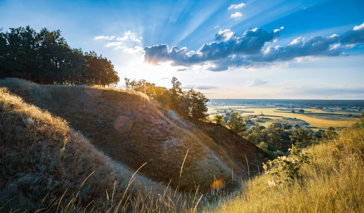 Przeczytaj ten wpis a dowiesz się jak zdobyć certyfiakt ecovadis