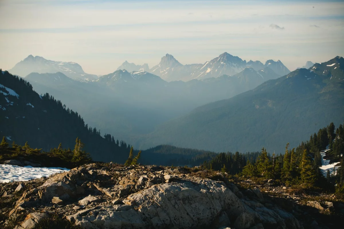 Dlaczego w 2024 warto  nauczyć się tańca?