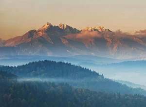 Szukasz jak kupić gry?