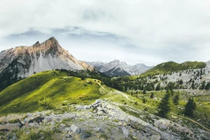  is it possible to hire a birmingham driver for ? 