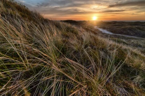 Czy warto budować nowocześniej? Koszty i ceny