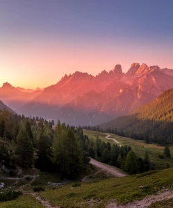 Jak  kupić samochód i czy 2021 będzie inny?